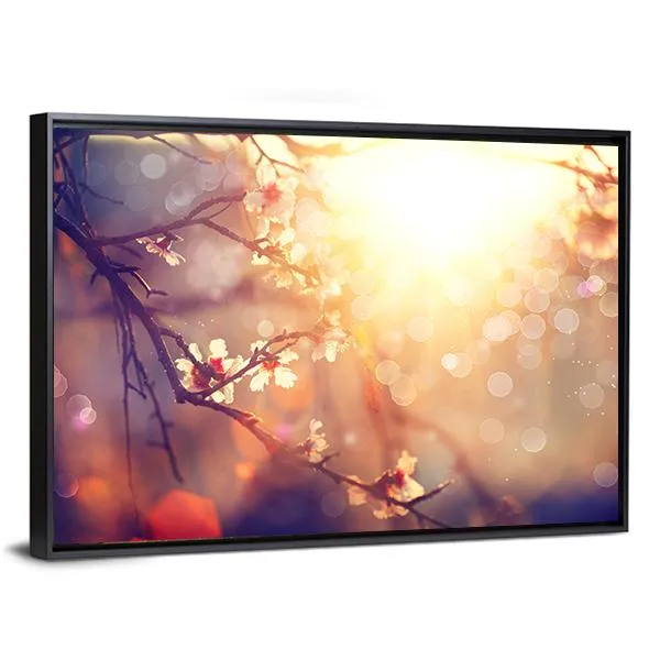 Blooming Tree With Sunlight Canvas Wall Art