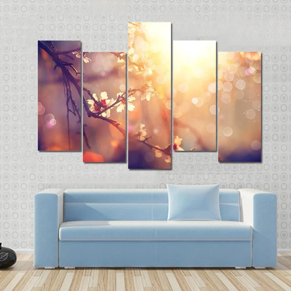 Blooming Tree With Sunlight Canvas Wall Art