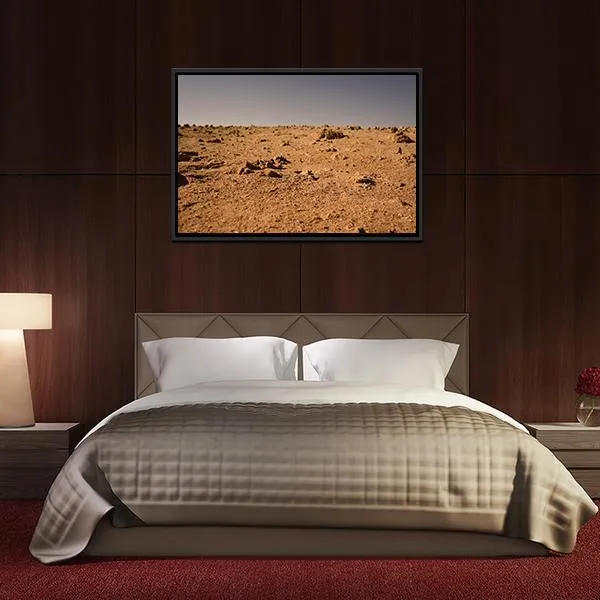 Land Of Mars Canvas Wall Art