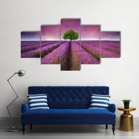 Lavender Field In Summer Canvas Wall Art