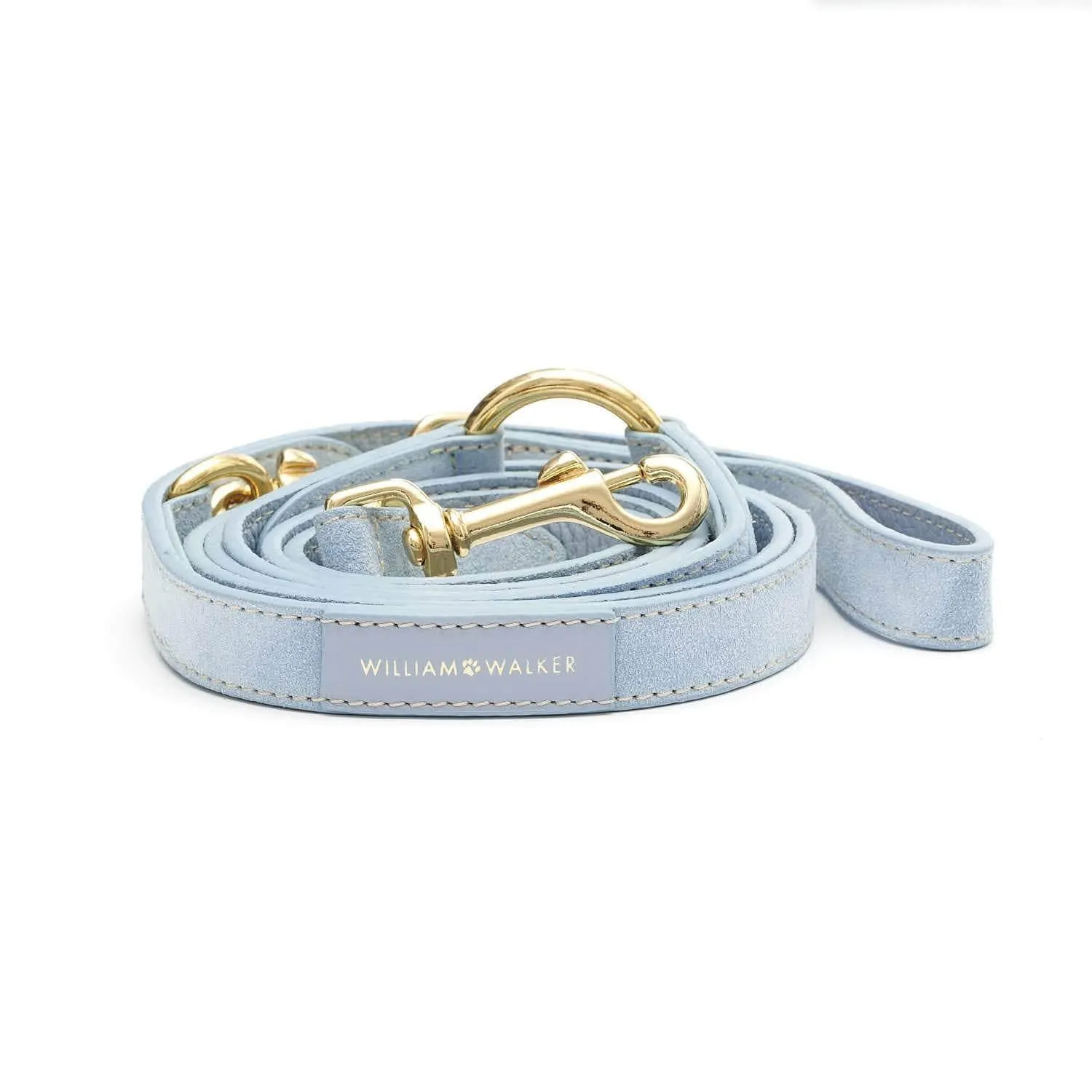 Suede Leather Dog Leash by William Walker - Sky