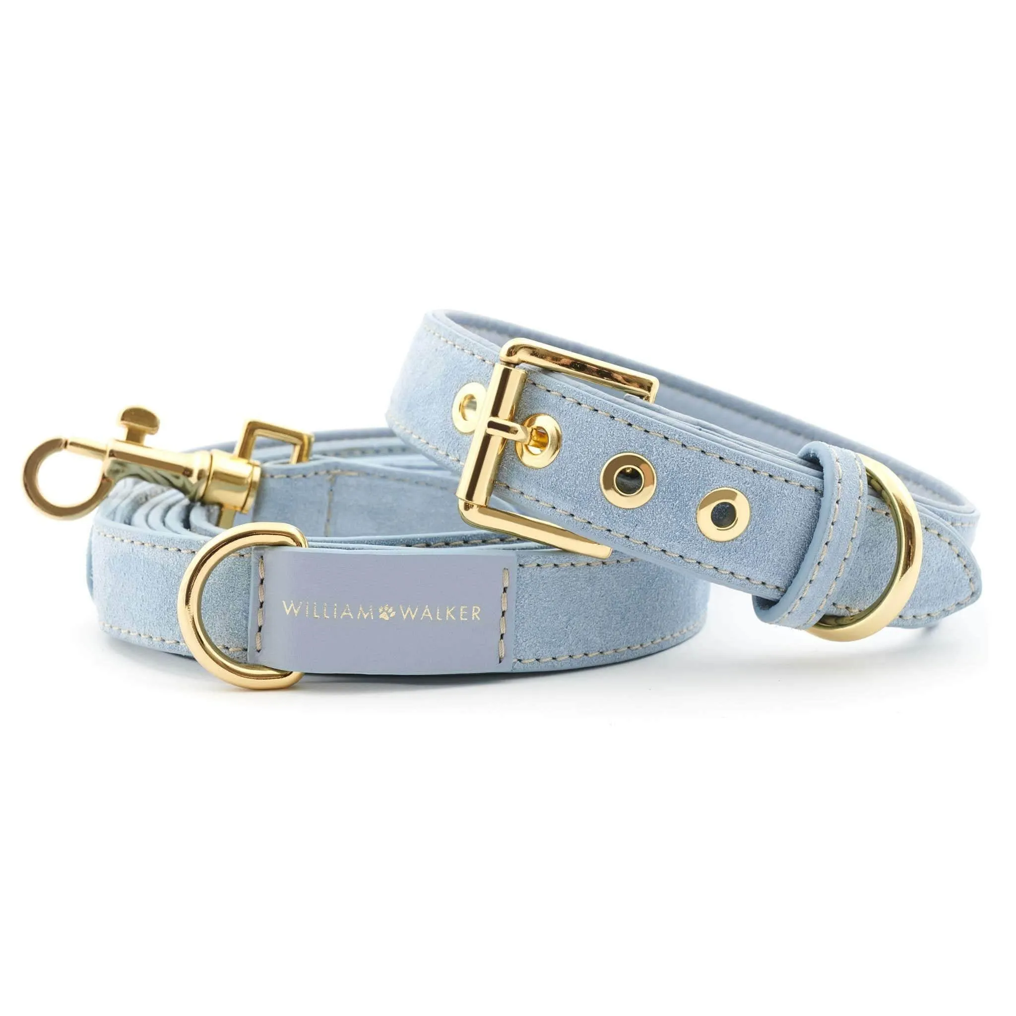 Suede Leather Dog Leash by William Walker - Sky